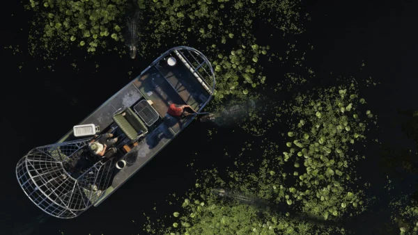 GTA6