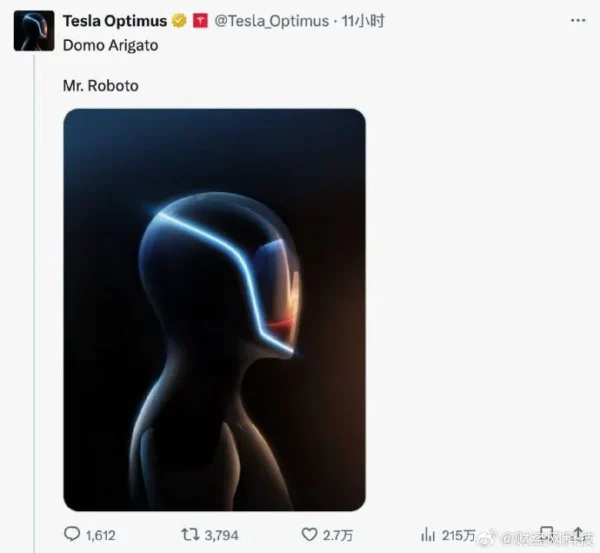MR.Roboto