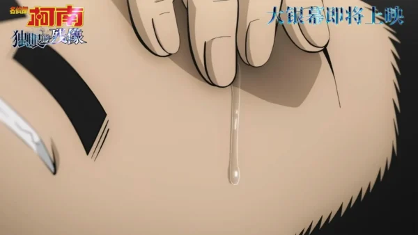 名侦探柯南独眼的残像